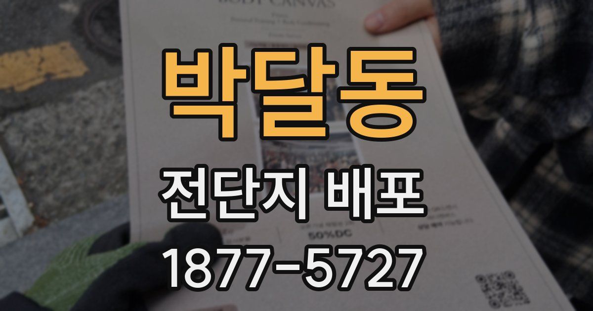 박달동 전단지 배포