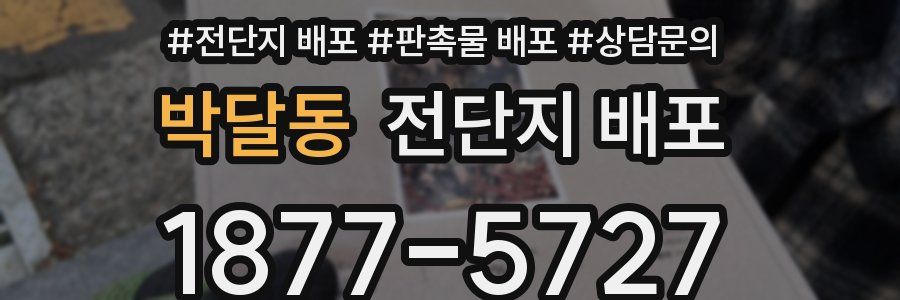 박달동 전단지 배포