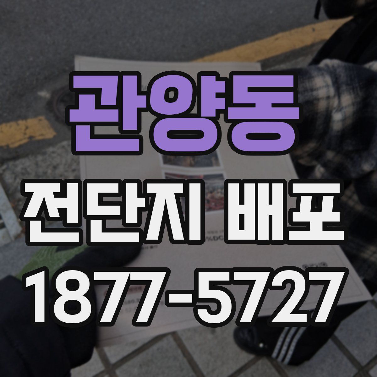 관양동 전단지 배포