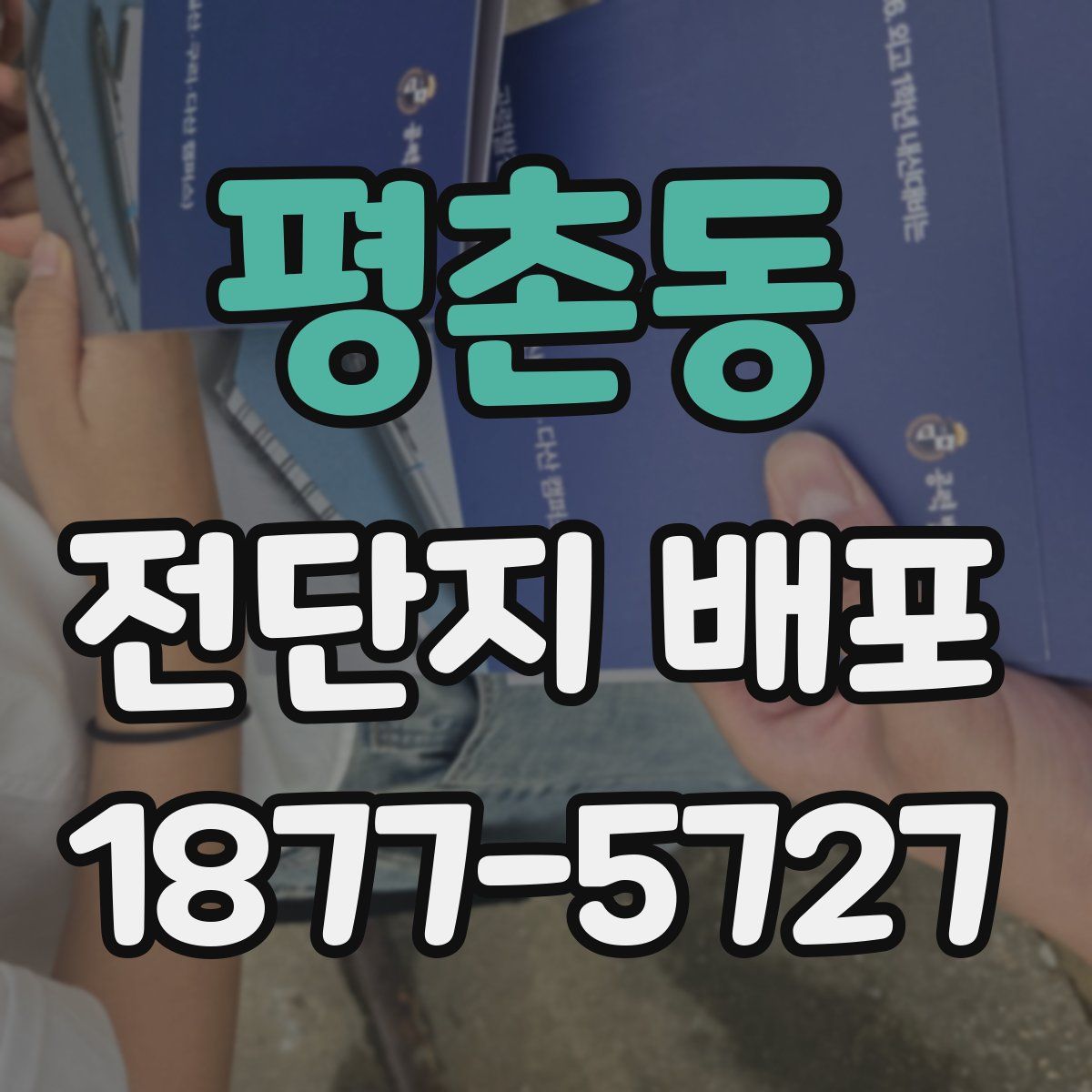 평촌동 전단지 배포