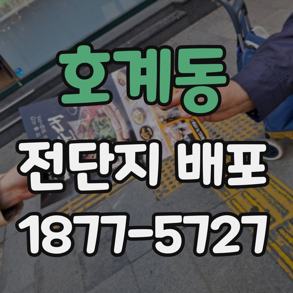 호계동 전단지 배포