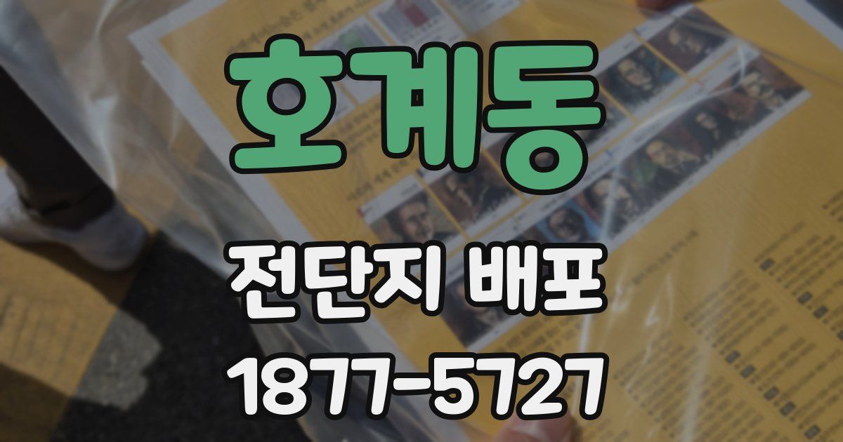 호계동 전단지 배포