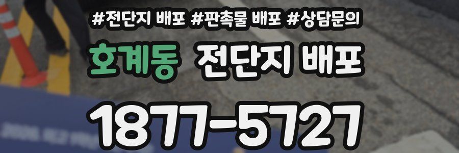 호계동 전단지 배포