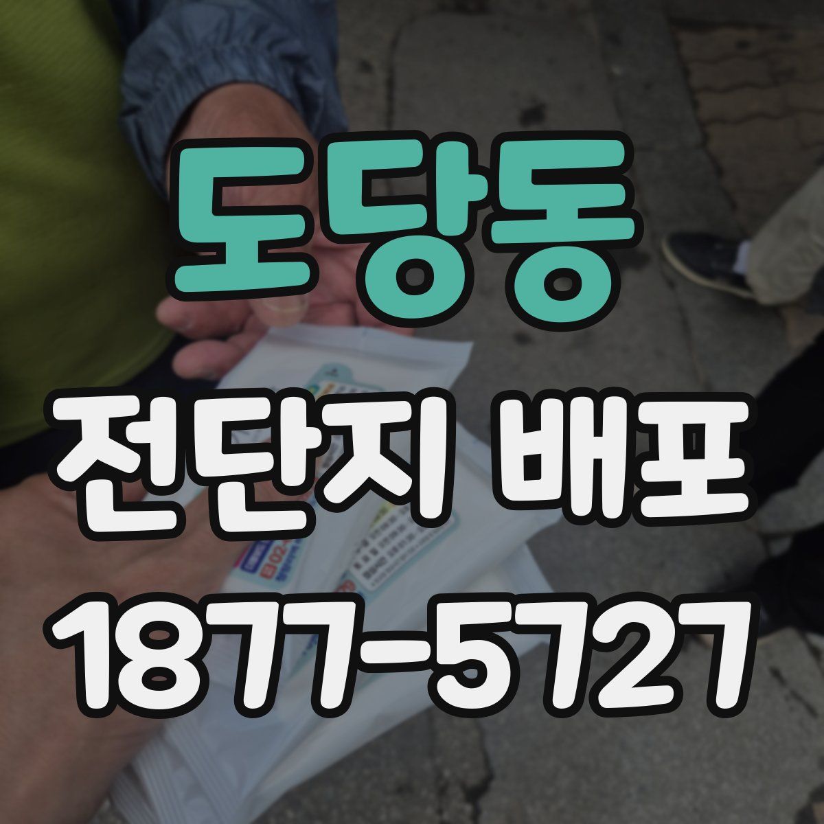 도당동 전단지 배포