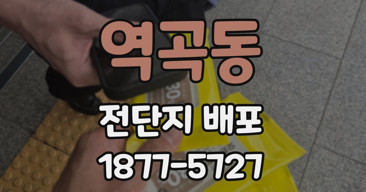 역곡동 전단지 배포