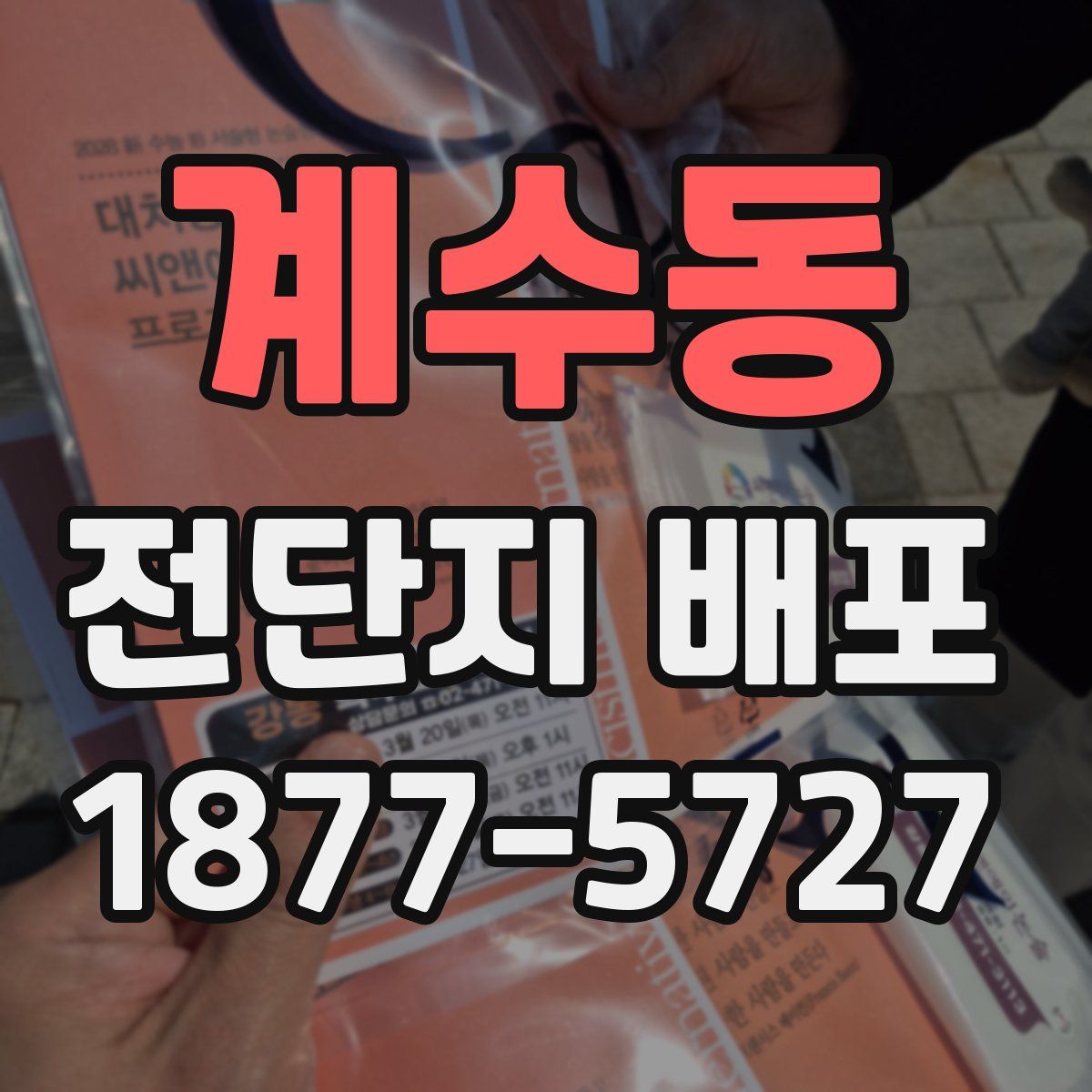 계수동 전단지 배포