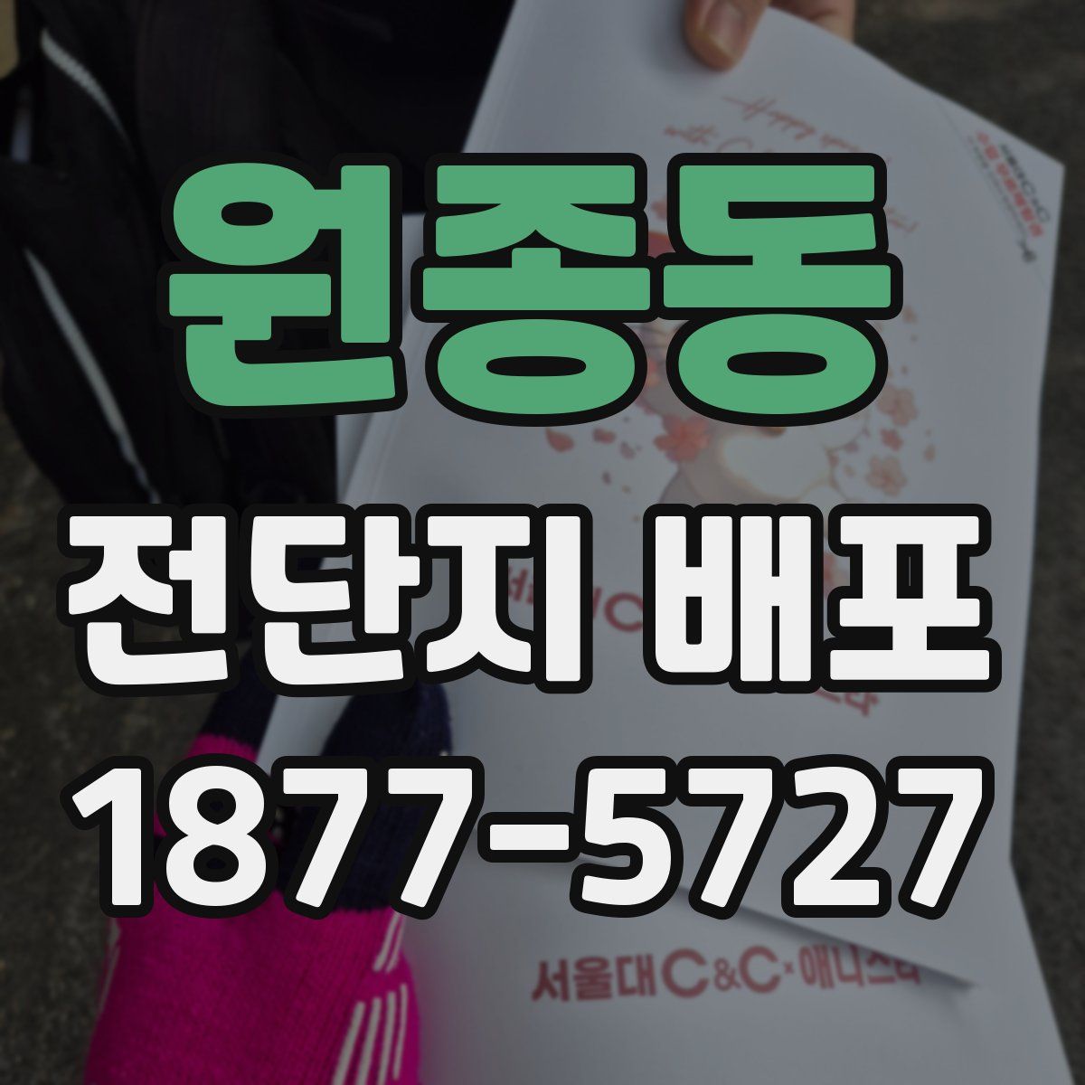 원종동 전단지 배포