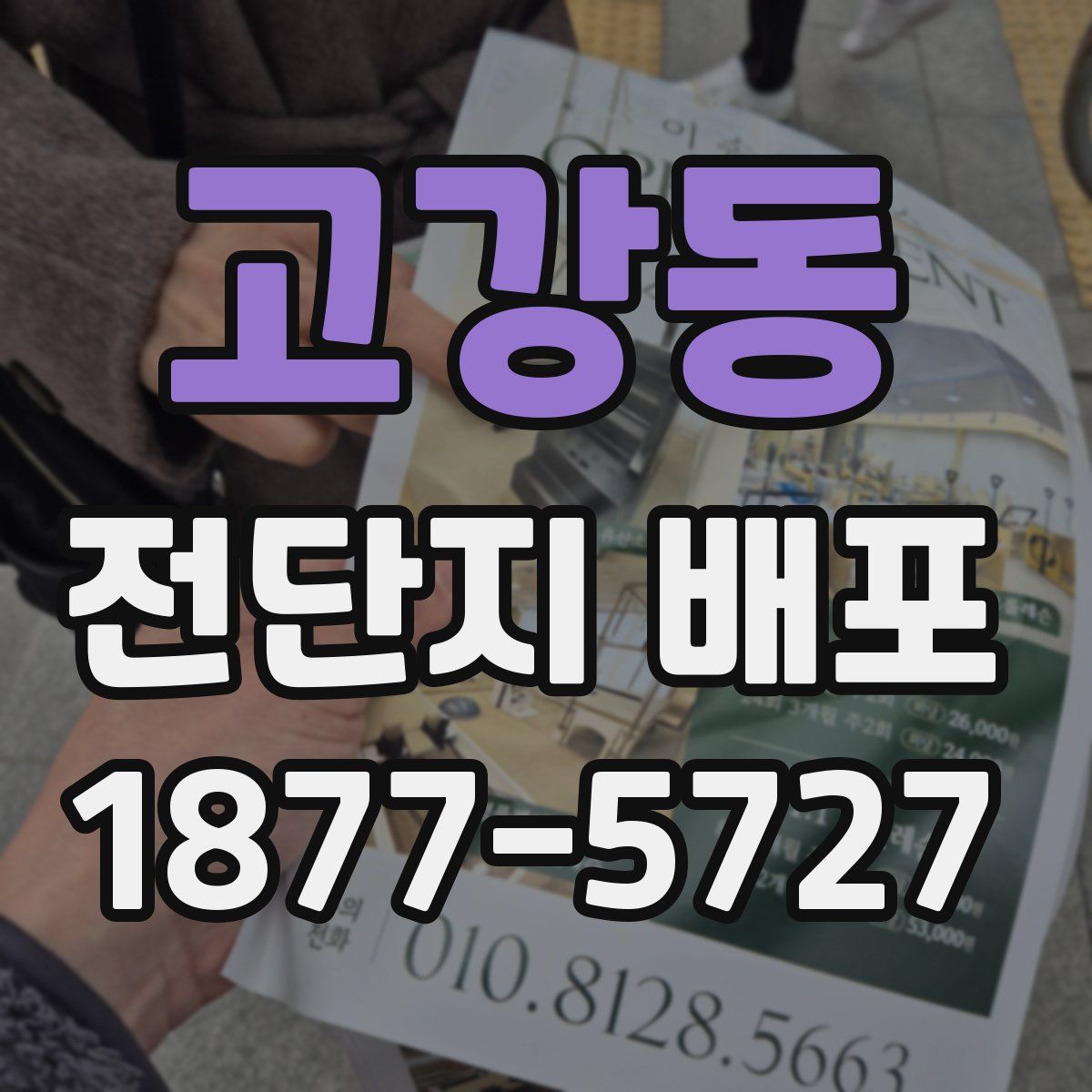 고강동 전단지 배포