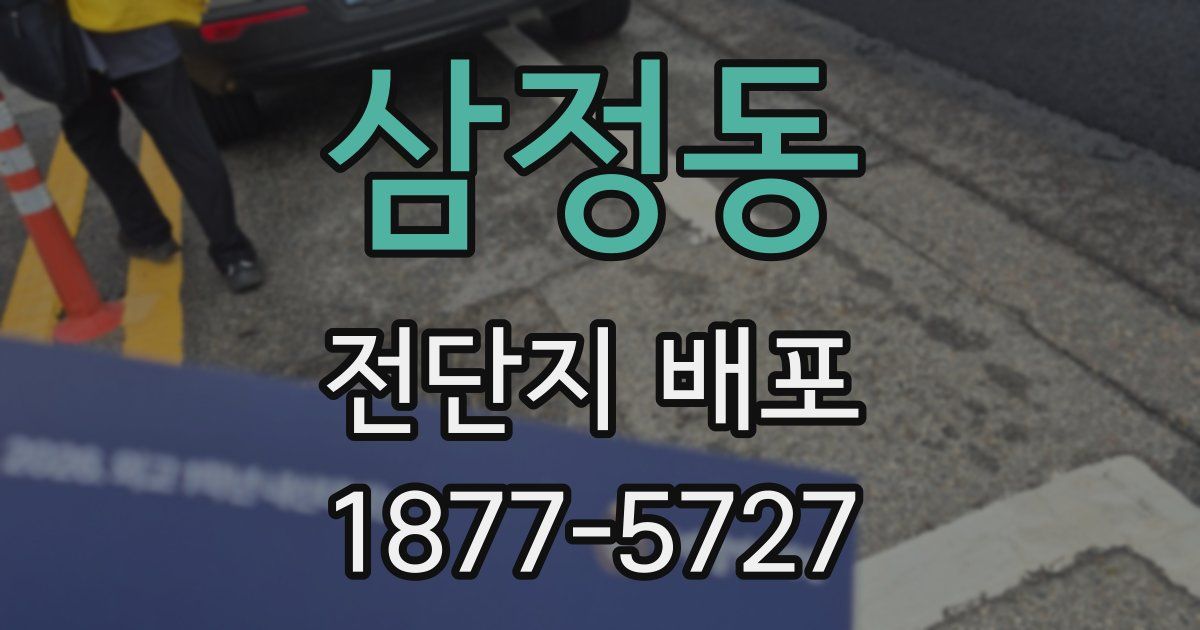 삼정동 전단지 배포