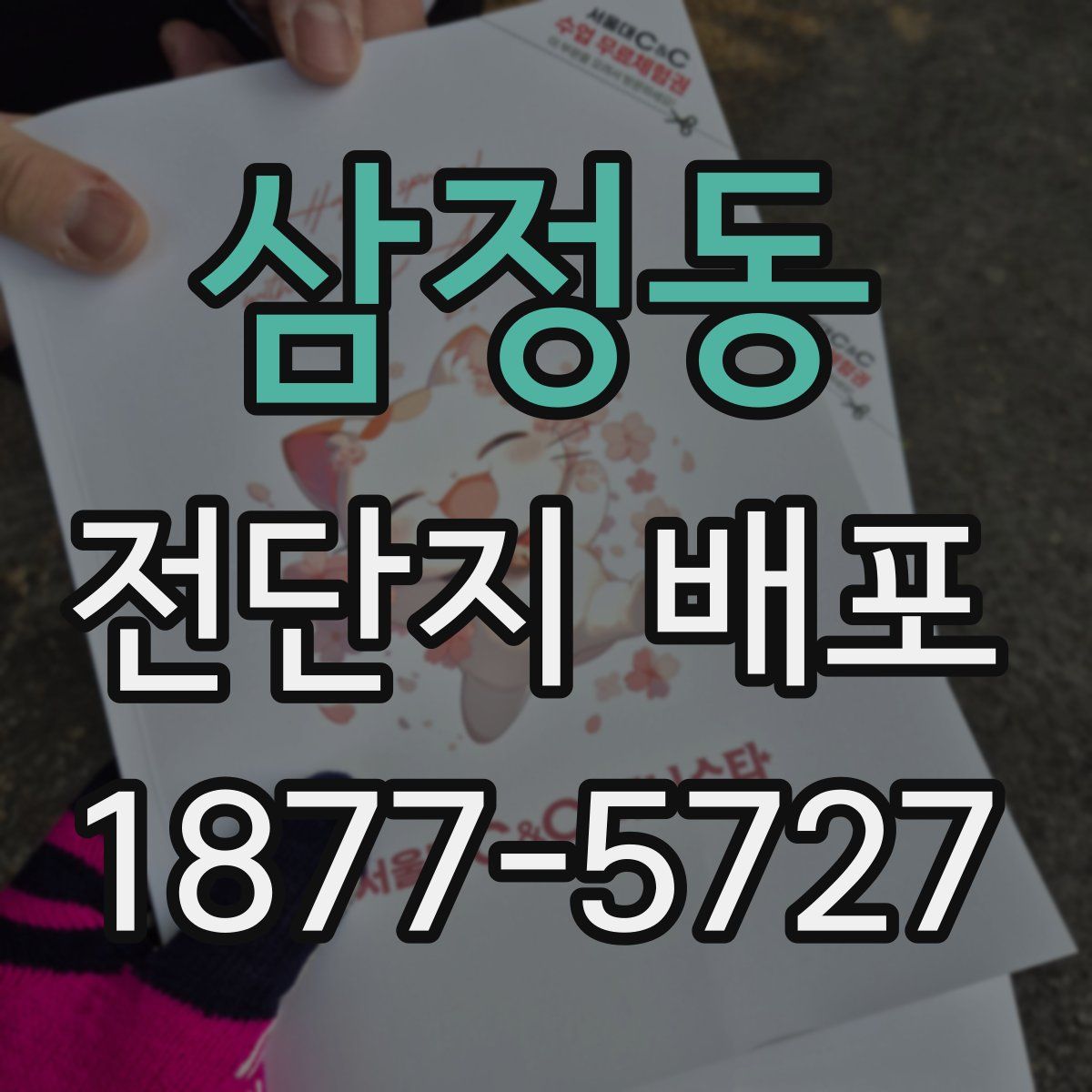 삼정동 전단지 배포