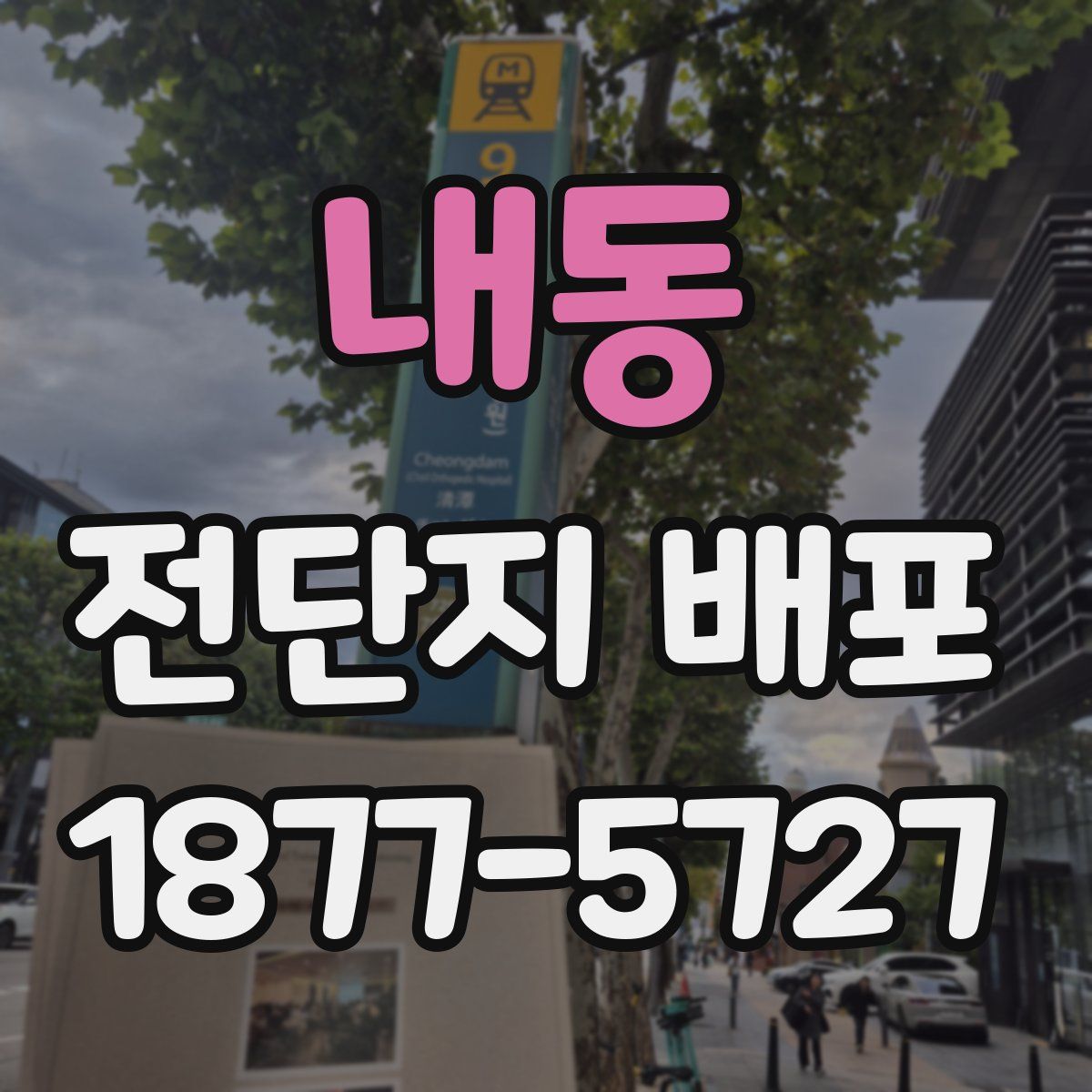 내동 전단지 배포