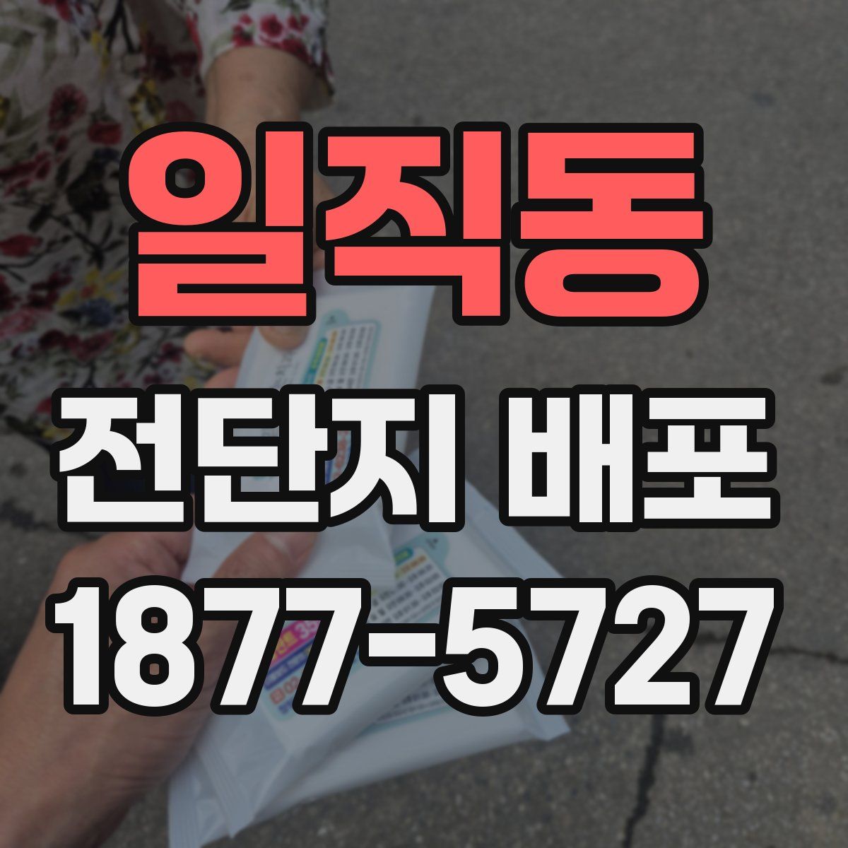 일직동 전단지 배포