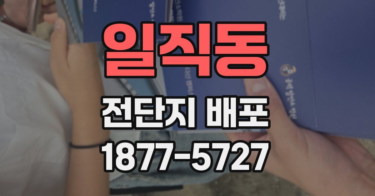 일직동 전단지 배포