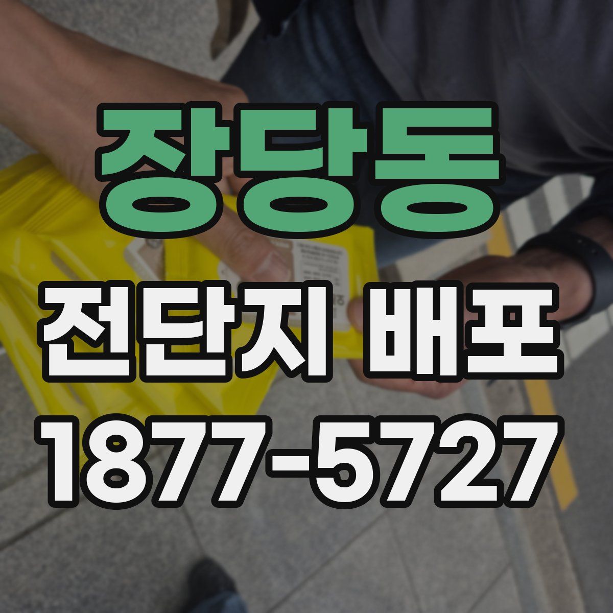 장당동 전단지 배포