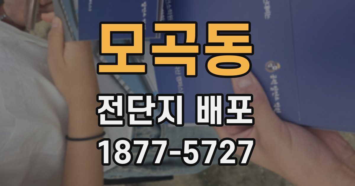 모곡동 전단지 배포