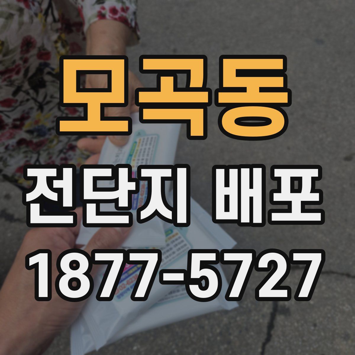 모곡동 전단지 배포