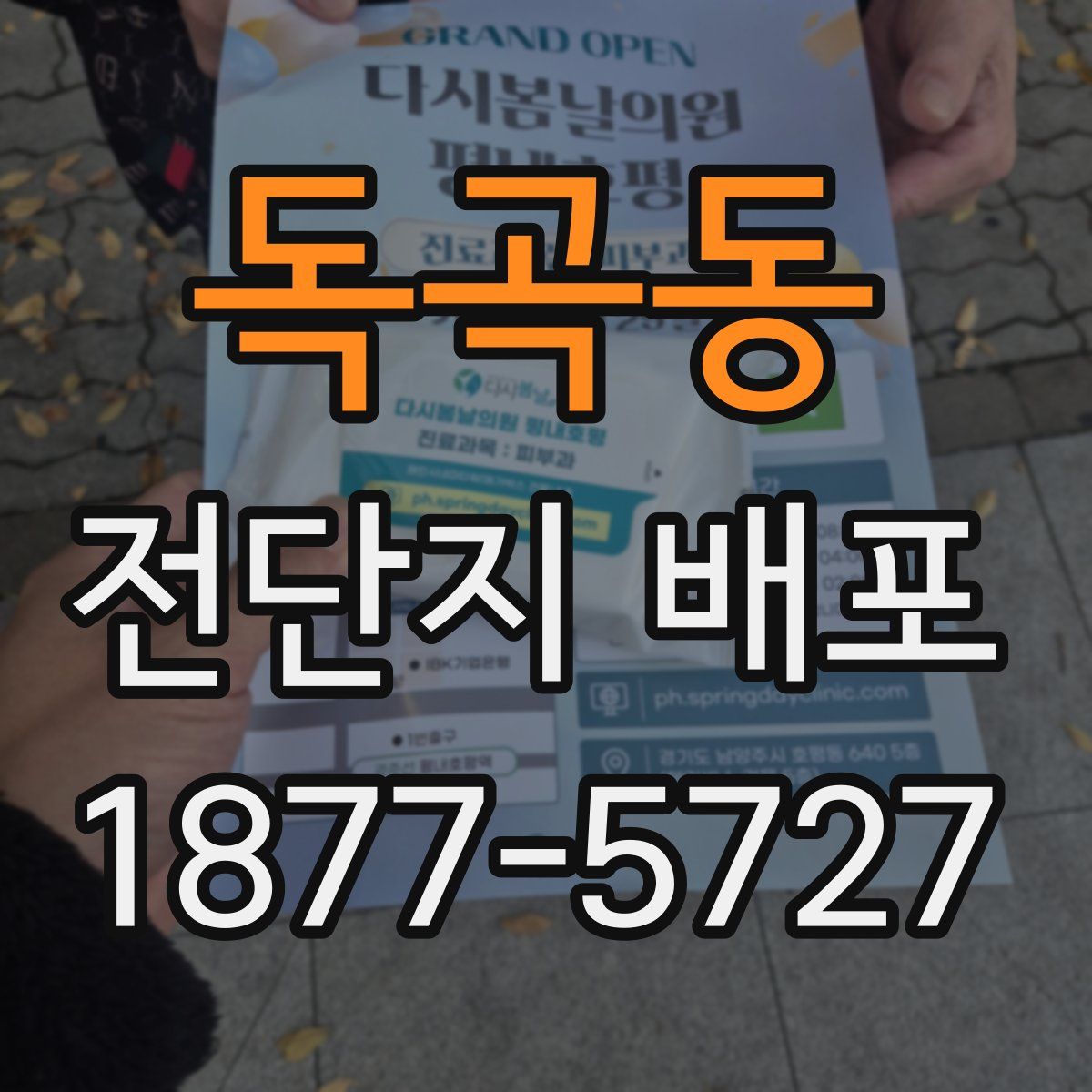 독곡동 전단지 배포