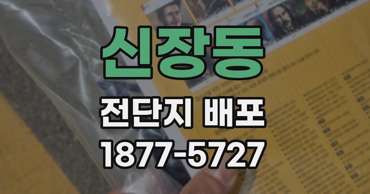 신장동 전단지 배포