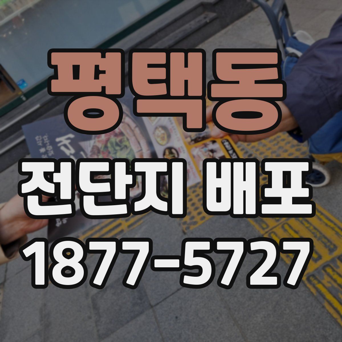 평택동 전단지 배포