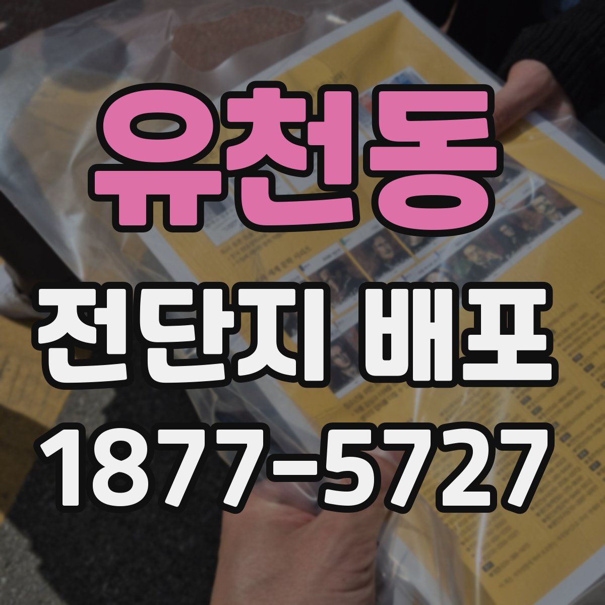 유천동 전단지 배포