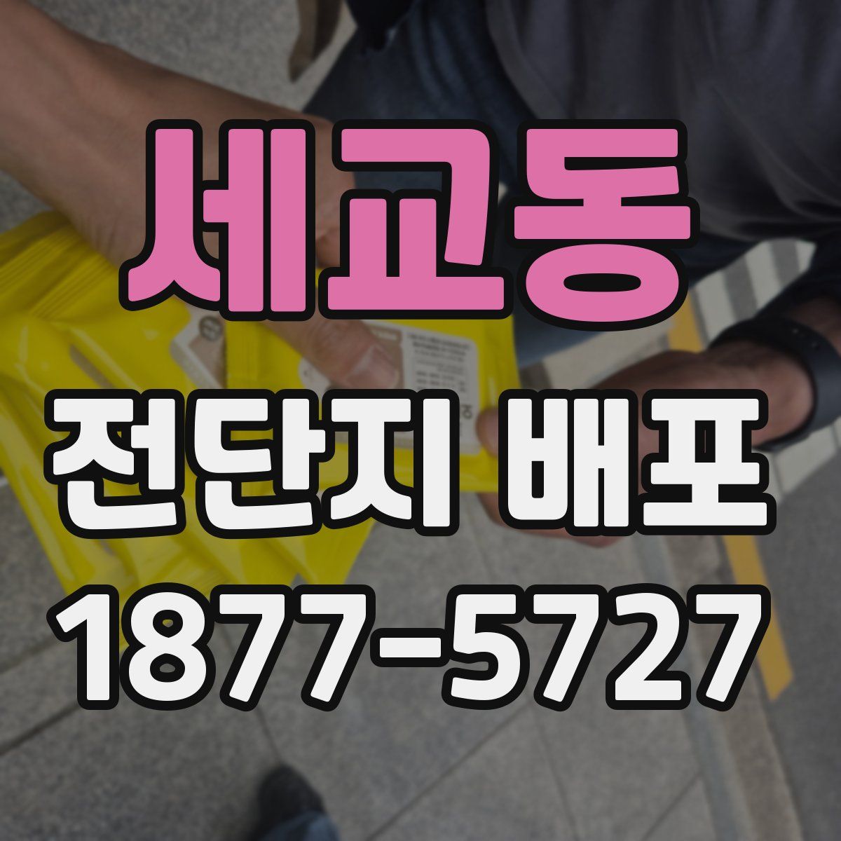 세교동 전단지 배포