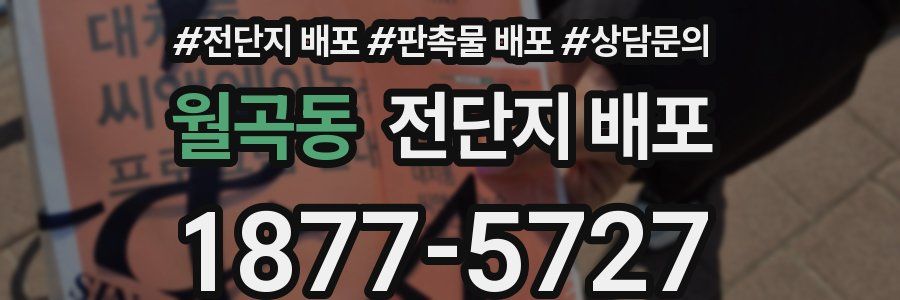 월곡동 전단지 배포