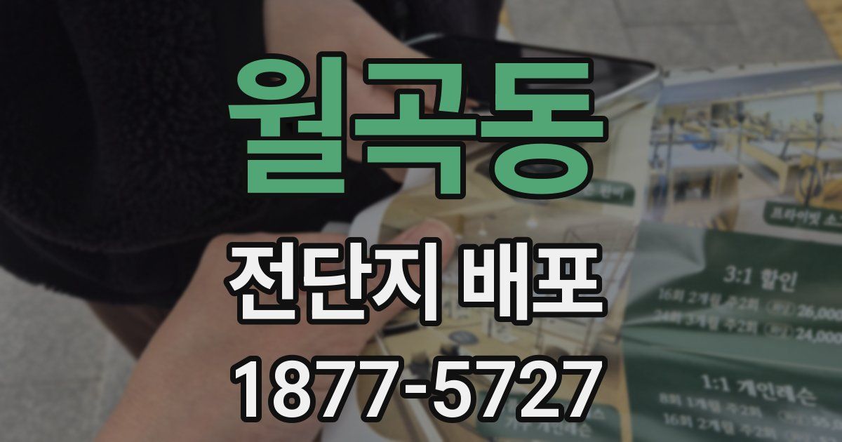 월곡동 전단지 배포