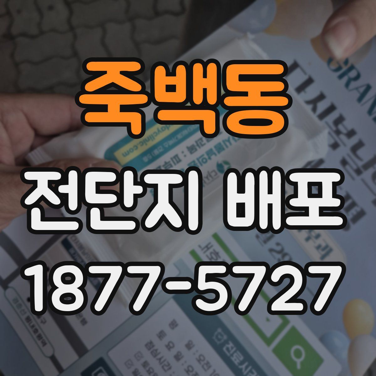 죽백동 전단지 배포