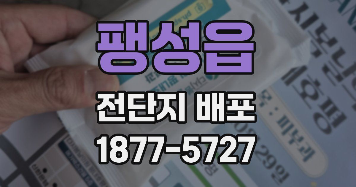 팽성읍 전단지 배포