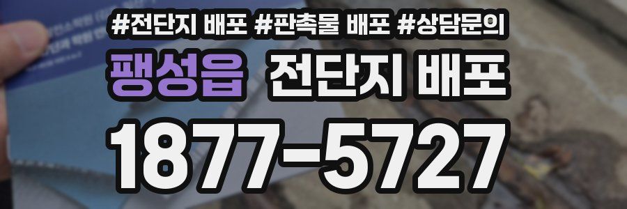 팽성읍 전단지 배포