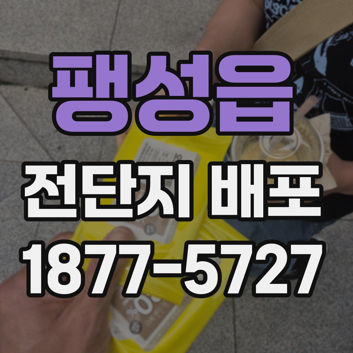 팽성읍 전단지 배포