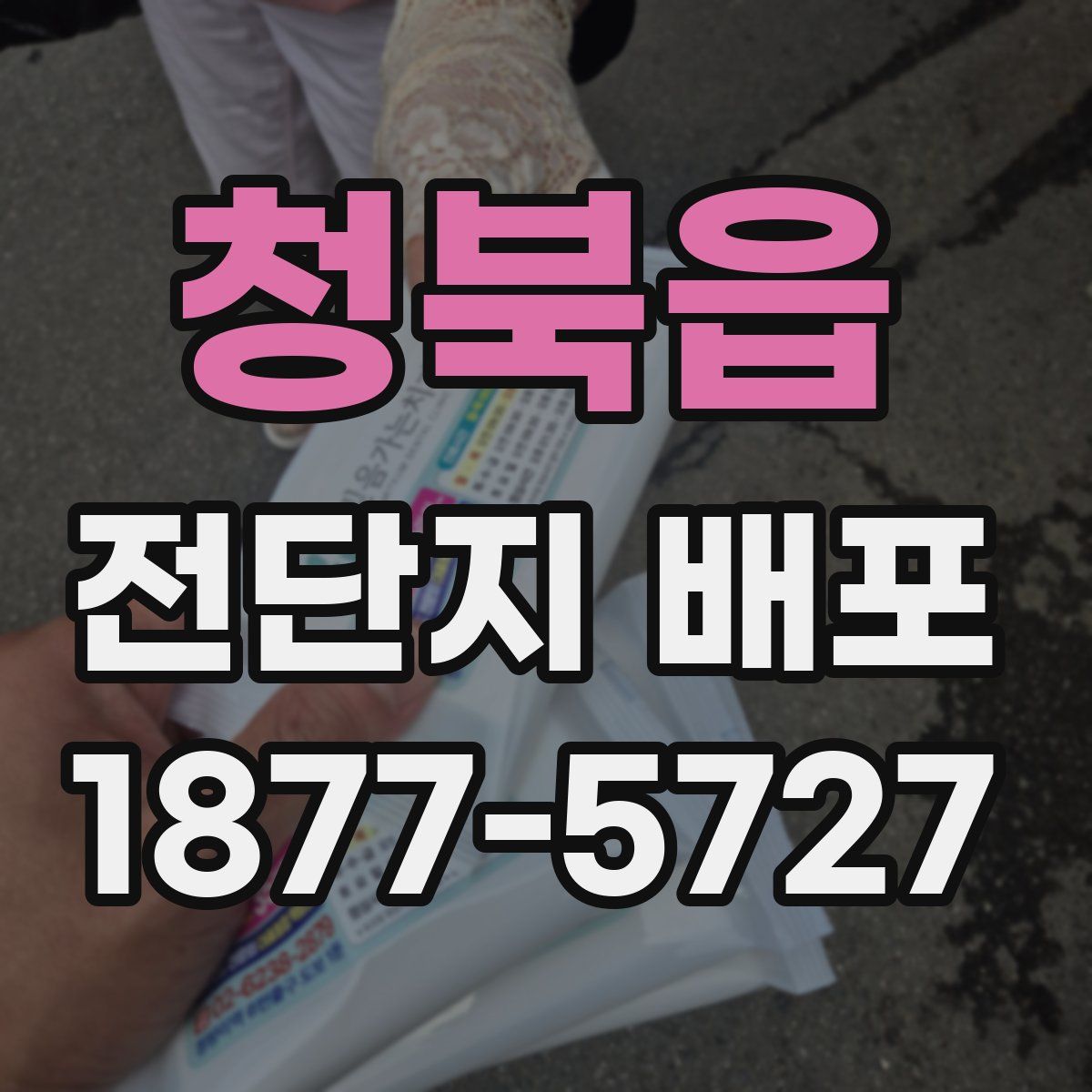 청북읍 전단지 배포