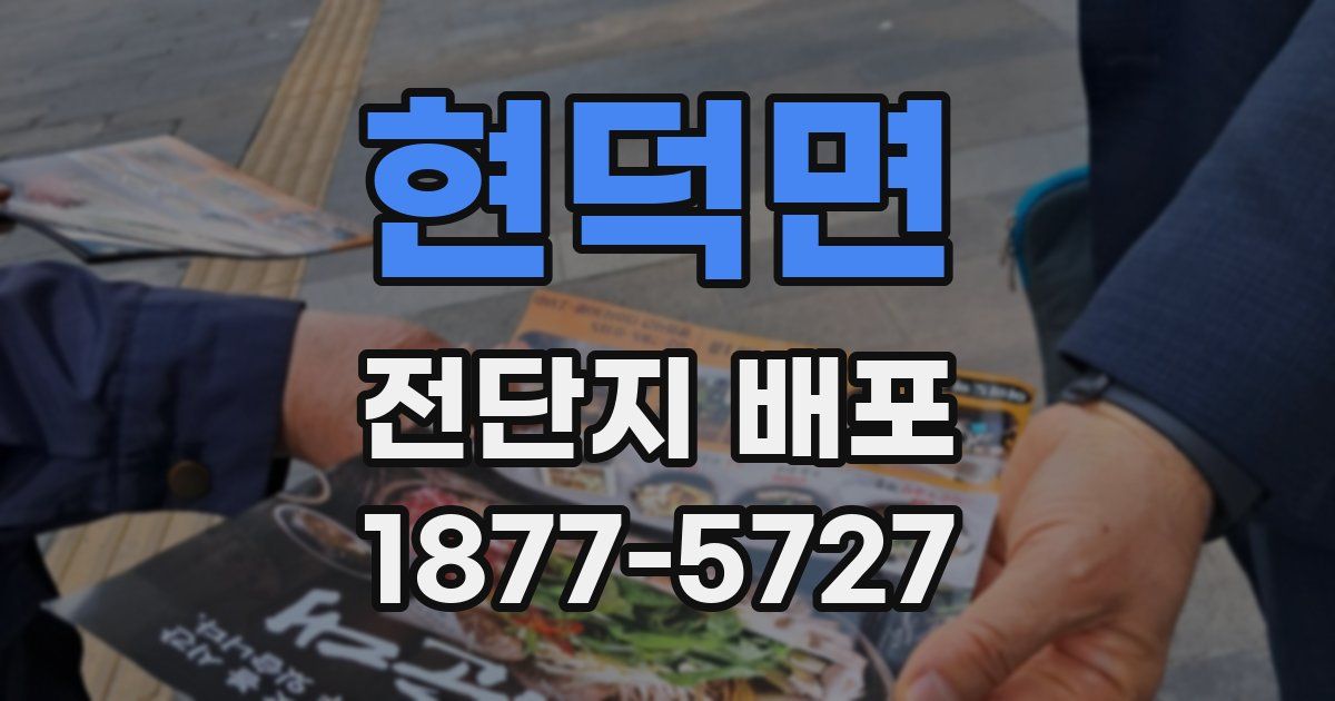 현덕면 전단지 배포