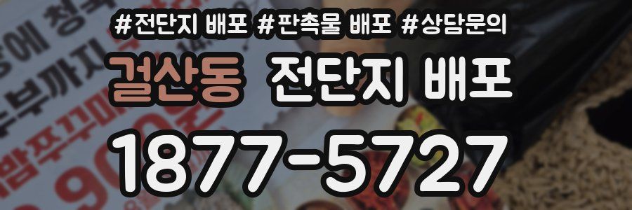 걸산동 전단지 배포