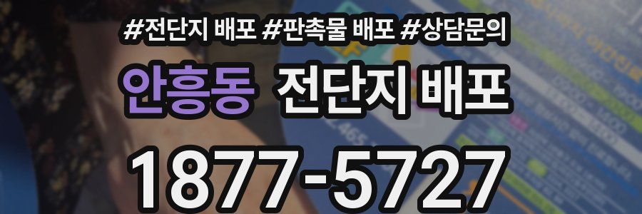 안흥동 전단지 배포