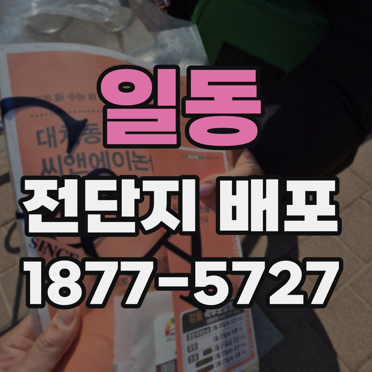 일동 전단지 배포