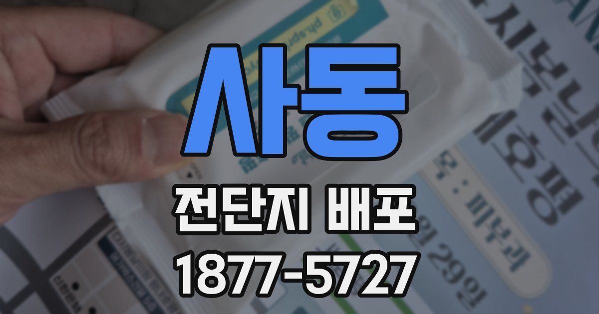 사동 전단지 배포