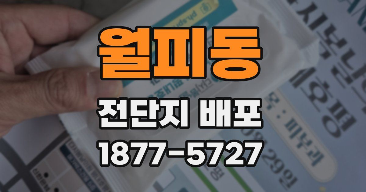 월피동 전단지 배포