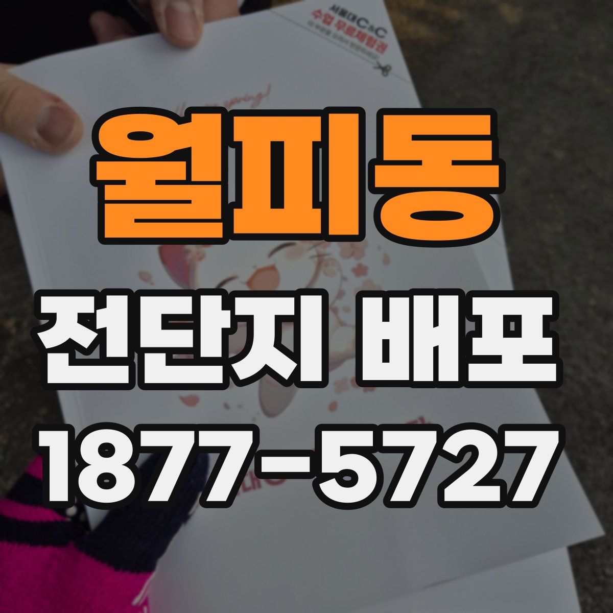 월피동 전단지 배포