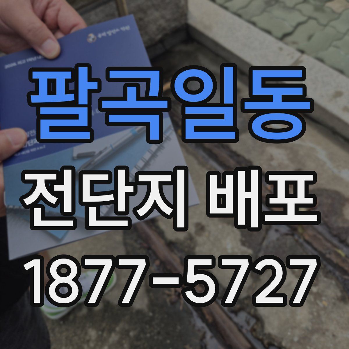 팔곡일동 전단지 배포