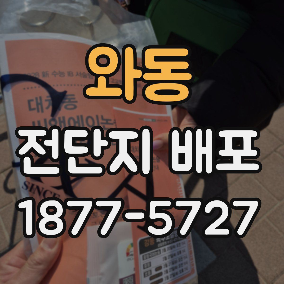 와동 전단지 배포