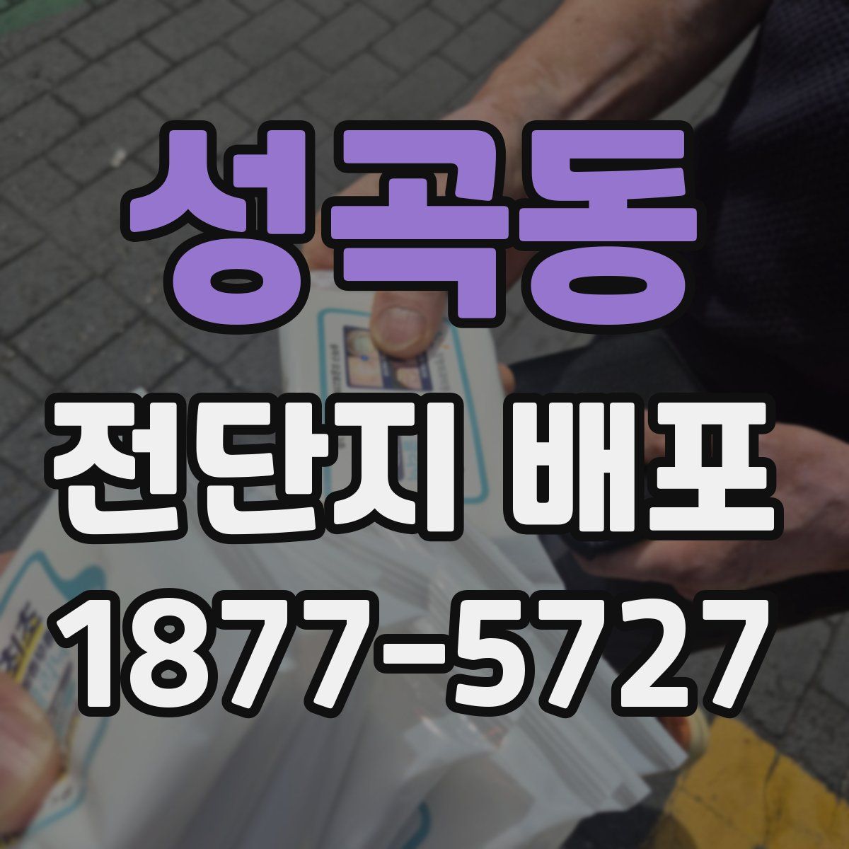 성곡동 전단지 배포