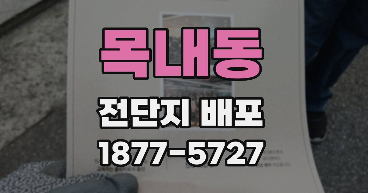 목내동 전단지 배포