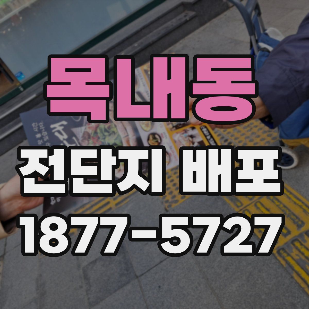 목내동 전단지 배포