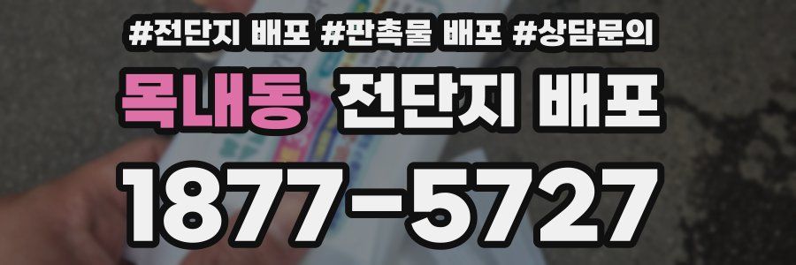 목내동 전단지 배포