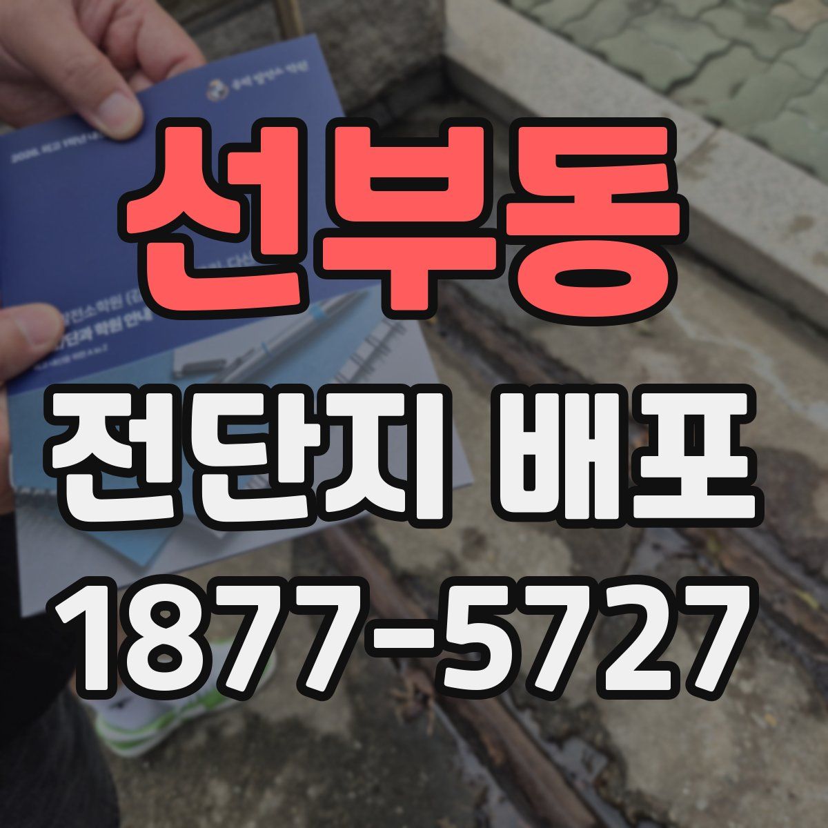 선부동 전단지 배포