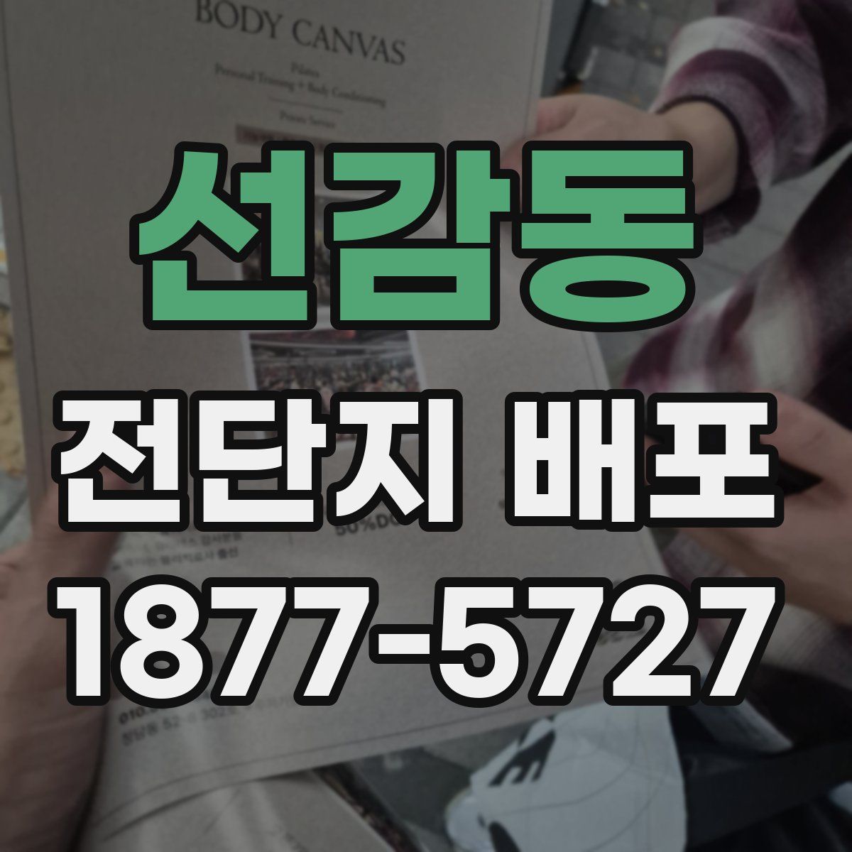 선감동 전단지 배포