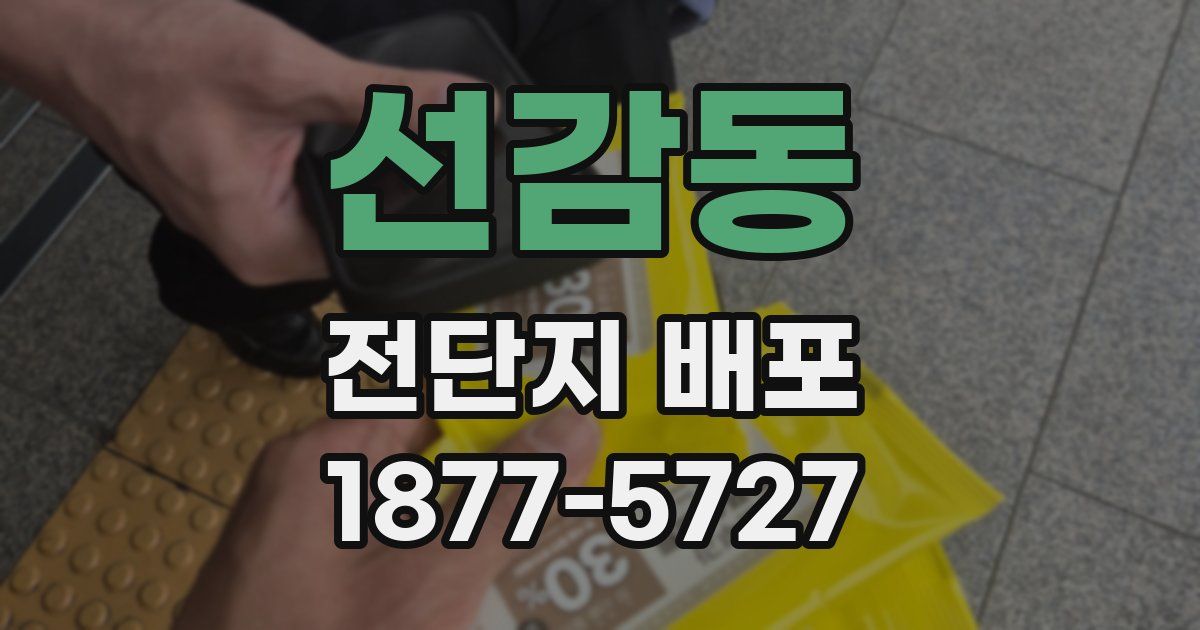 선감동 전단지 배포