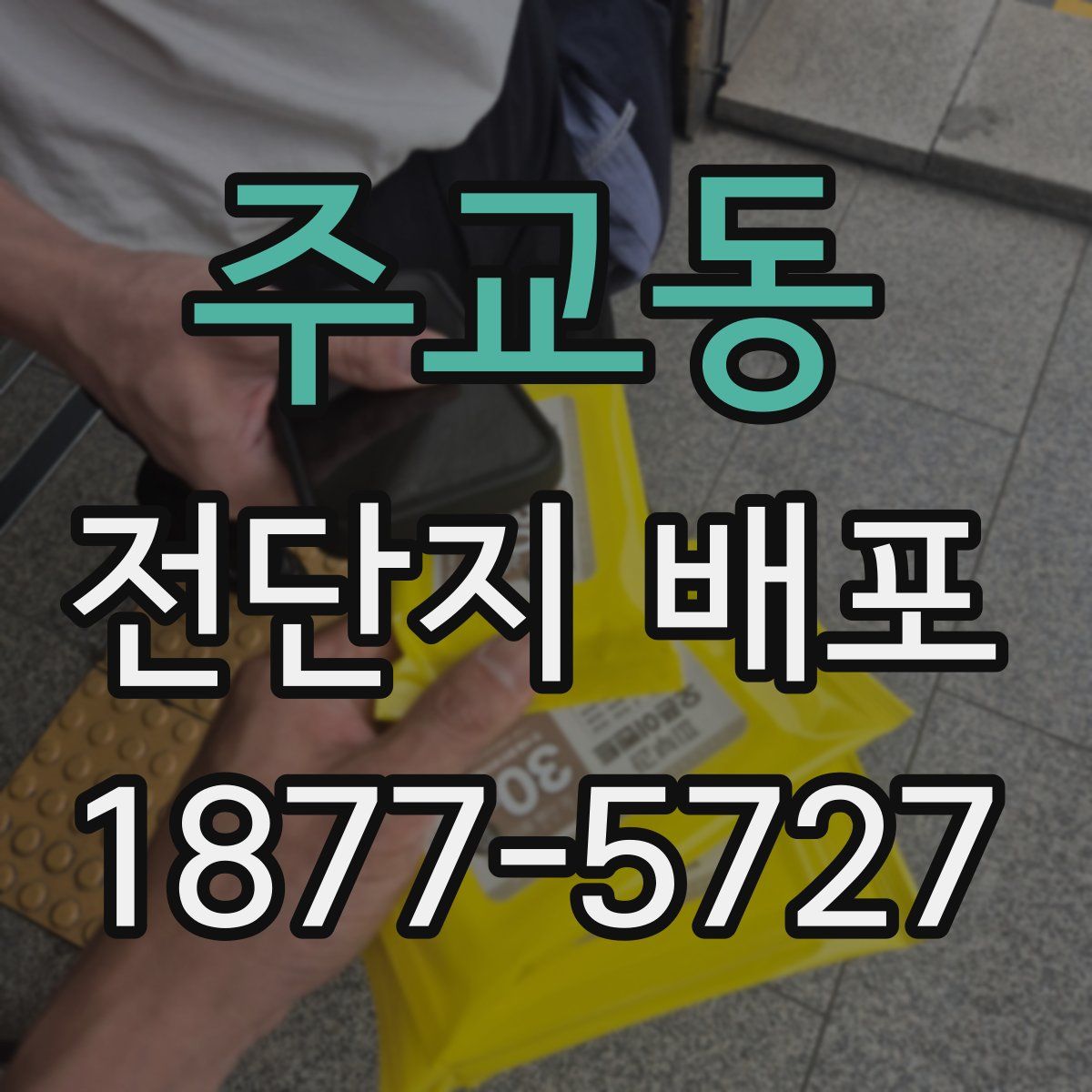 주교동 전단지 배포
