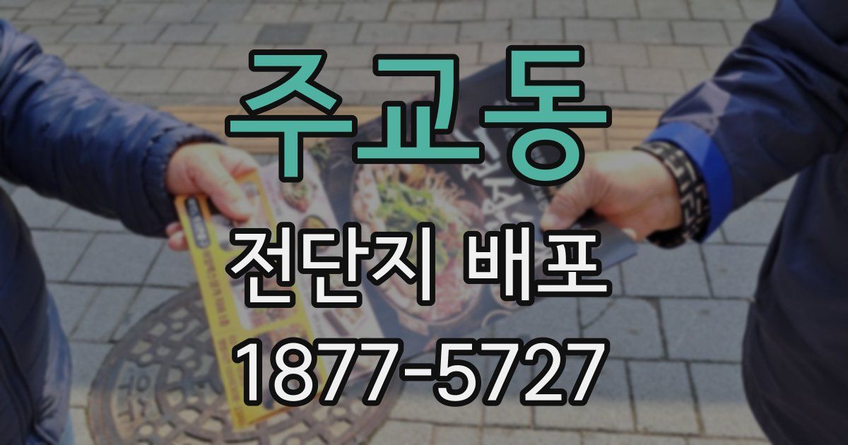 주교동 전단지 배포
